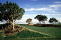 [ Urban park tagus and tranco ]
