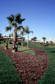 [ Urban park tagus and tranco ]