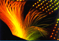 [ Fibre Optics ]